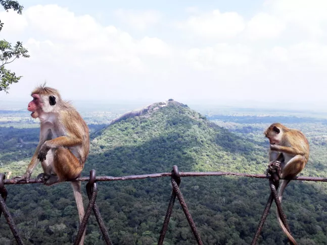 sri-lanka2